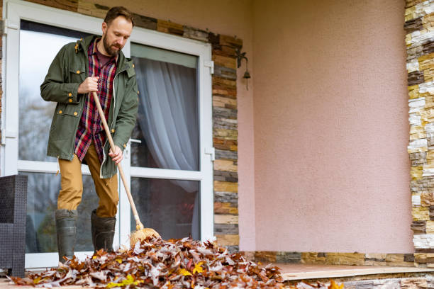Yard Cleanup Services in New Braunfels, TX